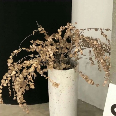 三明福瑞交流群